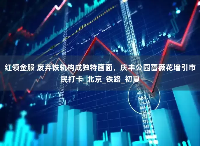红领金服 废弃铁轨构成独特画面，庆丰公园蔷薇花墙引市民打卡_北京_铁路_初夏