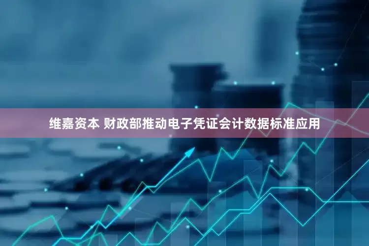 维嘉资本 财政部推动电子凭证会计数据标准应用